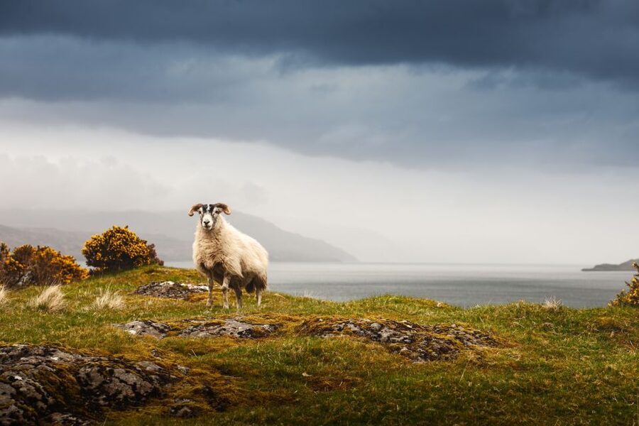 Scotland: West Highlands, Mull and Iona 4-Day Tour - Mull and Iona: the West Highlands shift you can feel