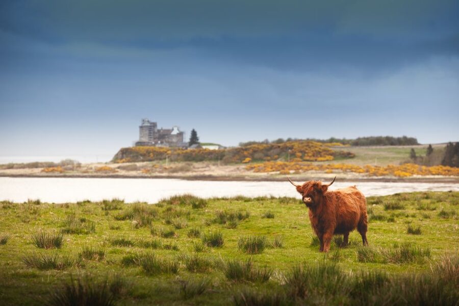 Scotland: West Highlands, Mull and Iona 4-Day Tour - Tobermory stay: your 3-night island base and why it works
