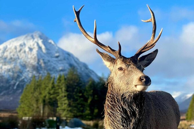Scottish Highlands, Loch Ness and Glencoe Day Trip from Edinburgh - Price and Value: What $74.89 Gets You, and What Costs Extra