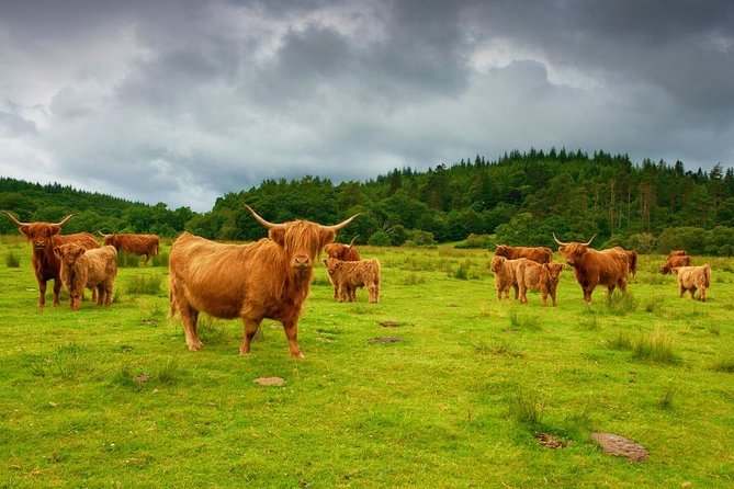 Scottish Highlands Private Day Tour from Edinburgh - Key things to know before you go