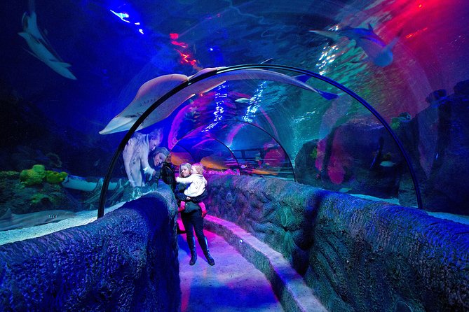 SEA LIFE Loch Lomond General Admission Ticket - What you’ll see first: Predators of the Reef and the venom lesson