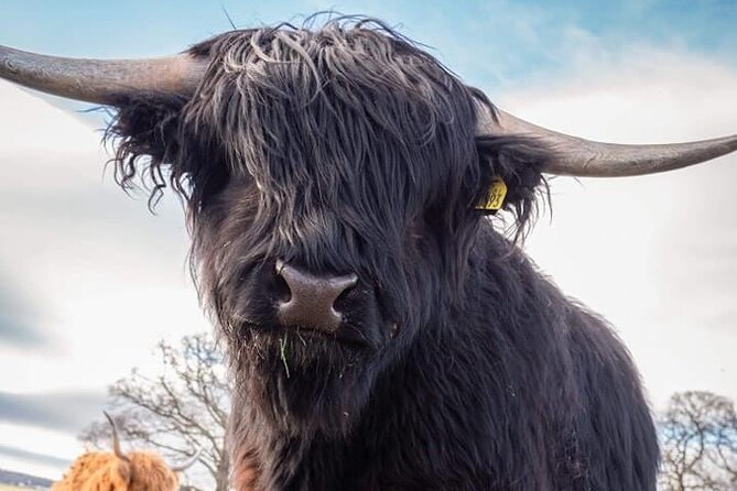 Secret Loch Ness, Inverness Castle visit, Culloden, Clava Cairns - Clava Cairns If Your Day Has Room