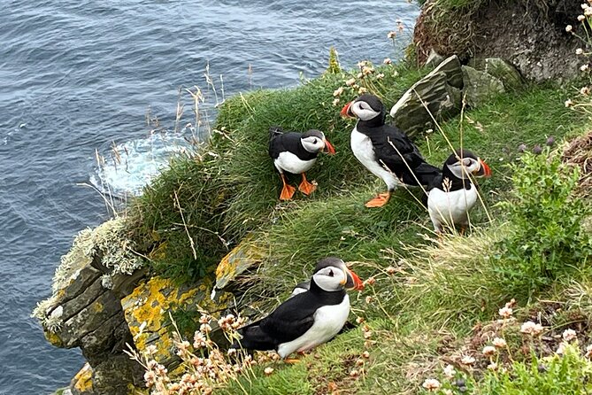 Shetland South Mainland Tour St Ninian Isle and Jarlshof - Key Highlights You’ll Actually Notice