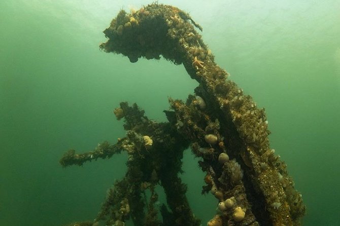 Shipwreck Hunters - The MV Captayannis stop: what close viewing really means