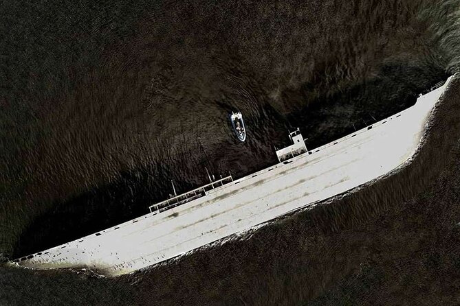 Shipwreck Hunters - Wildlife above the water: porpoises, seals, and spotting with purpose