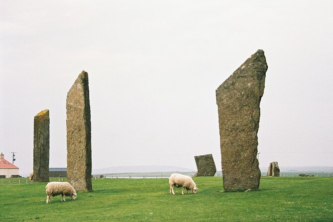 Shore Excursion Kirkwall Small Group Highlights of Orkney - Churchill Barriers: the 2.3 km engineering story you can actually drive