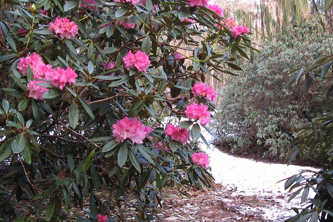 Skip-the-Line: Botanic Garden Entry Ticket - Your Main Stop: How the Garden Is Organized Across 27 Acres