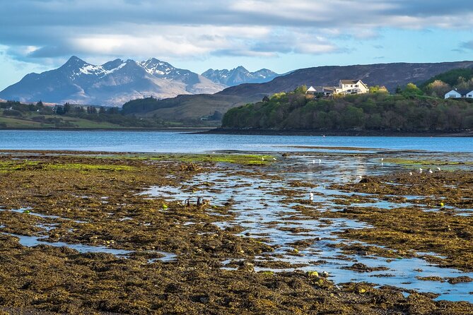 Skye Day Tour from Inverness with Fairy Pools & Dunvegan Castle - Rogie Falls: waterfalls and a suspension bridge photo moment