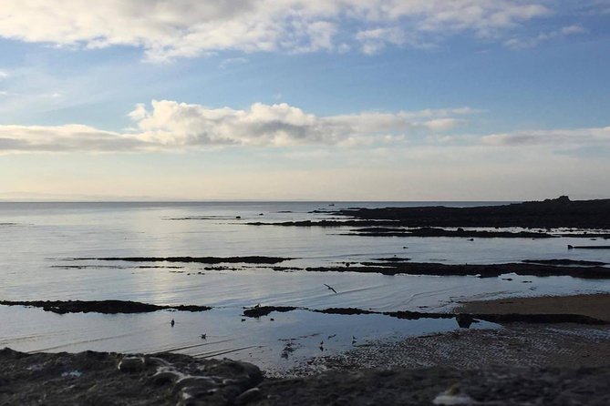 St Andrews, Falkland and Fife Villages Tour from Edinburgh - St Andrews Castle and Town Time: How to Spend Those Hours Well