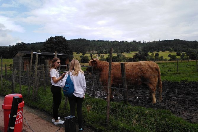 Stirling Castle, Hairy Coo's & The Trossachs - Private door-to-door touring across Stirling and the Trossachs