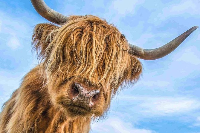 Stirling Castle Loch Lomond and Trossachs National Park day tour - Key points to know before you go