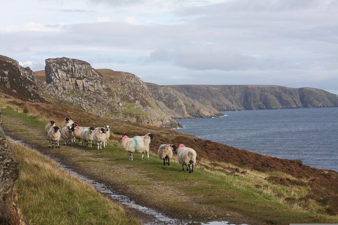 Stornoway (Isle of Lewis):Heritage and Coastline Tour - Butt of Lewis Lighthouse: why red brick stands out on the edge