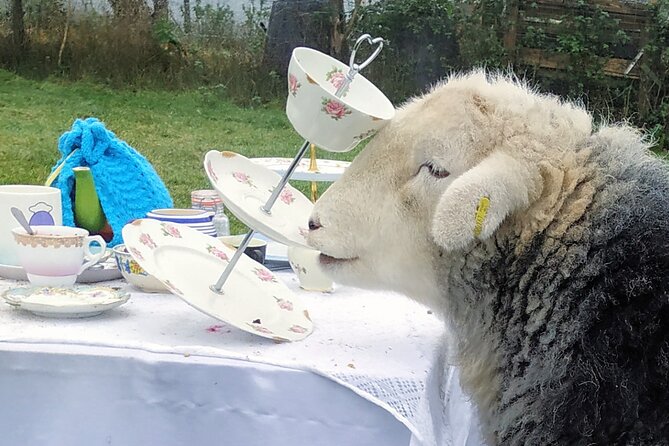 Tea with Naughty Sheep - Afternoon tea in the garden, with menu options that fit real needs