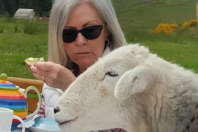 Tea with Naughty Sheep - Weather, timing, and what happens if the day turns foul