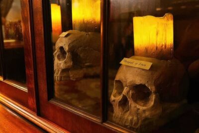 The Anatomist – Award Winning Historical Escape Room Experience