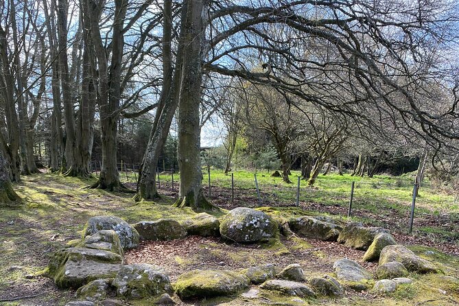 The Outlander Tour Clava, Culloden, Urquhart, Loch Ness & Beauly - Loch Ness Banks for Quick Nessie Spots and River Views