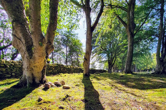 The Quieter side of Loch Ness - The VW Caravelle with AC is more than comfort