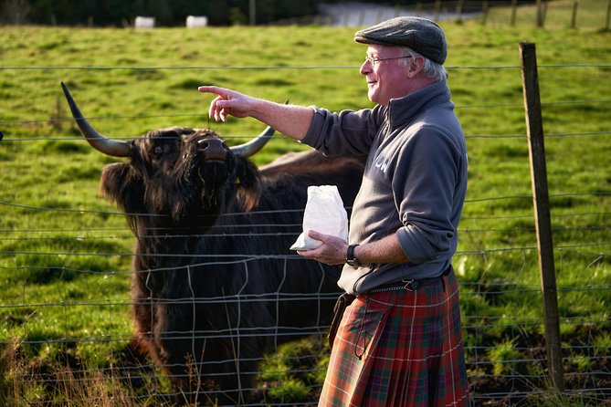 The Ultimate Isle of Skye Day Tour from Inverness - Fairy Pools walk: the stop you plan for, not just photo