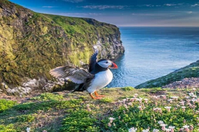 Top Of The Highlands Tour: John O' Groats, Caithness and More - Whaligoe Steps, old fishing access with a wow-factor view