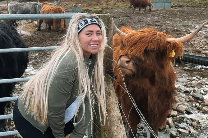 Ultimate Day tour Edinburgh: Glencoe, Highland Cows, Loch Lomond - The Kelpies and The Helix: 30-Meter Horse Sculptures for Big Photos