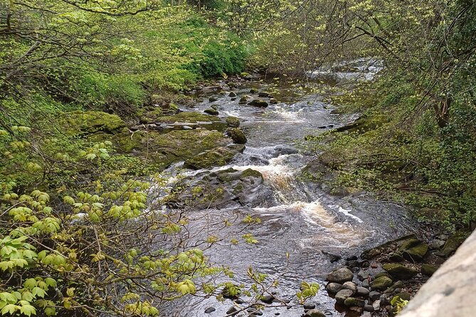 Walking Wildlife History Tour in Edinburgh - Entering Edinburgh’s Waterways With a Bird Finder Mindset