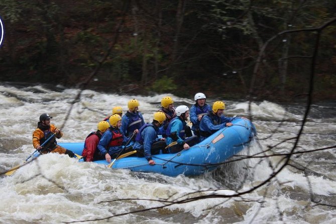 White Water Rafting on the River Tay from Aberfeldy - River Tay Rafting From Aberfeldy: What the 3 Hours Feels Like