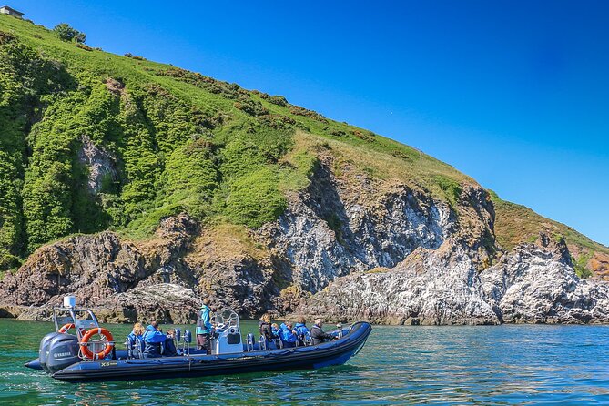 Wildlife Watching Boat Tour - Boarding the Rigid Inflatable Boat: Quick Safety, Quick Roll-Out