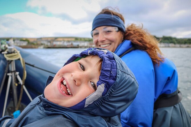 Wildlife Watching Boat Tour - The Wildlife Scanning Phase: Dolphins, Porpoise, Seals, and More